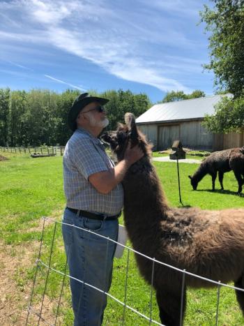 llama extends volunteerism hospice chummy